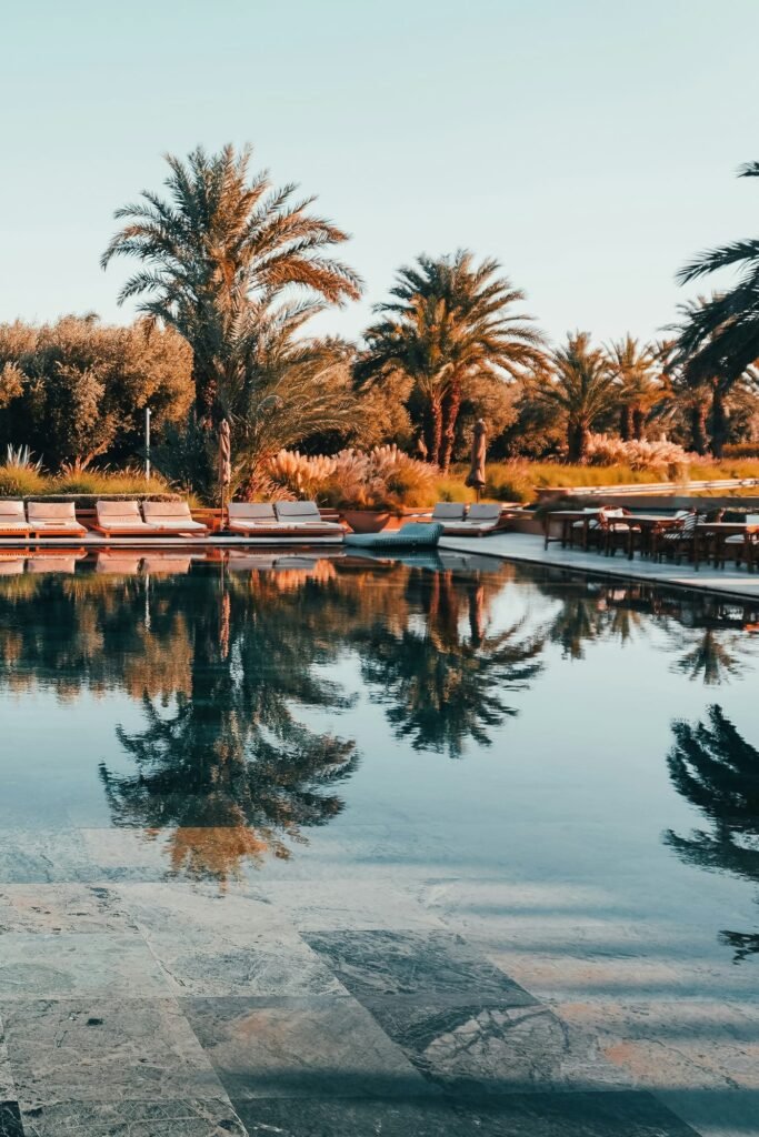 Large pool lined with palm trees and sun loungers, in Marrakech